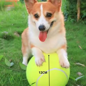 Pelota de tenis resistente de 12 cm – duradera y segura TEN-6