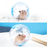 BOLA PARA HAMSTER