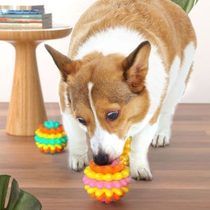 Pelota masticable de TPR – resistente e interactiva PDR-1