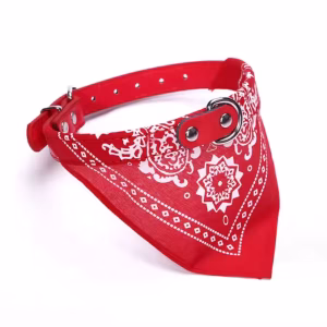 Collar Pañoleta estampado moderno y fácil de usar YY076XL