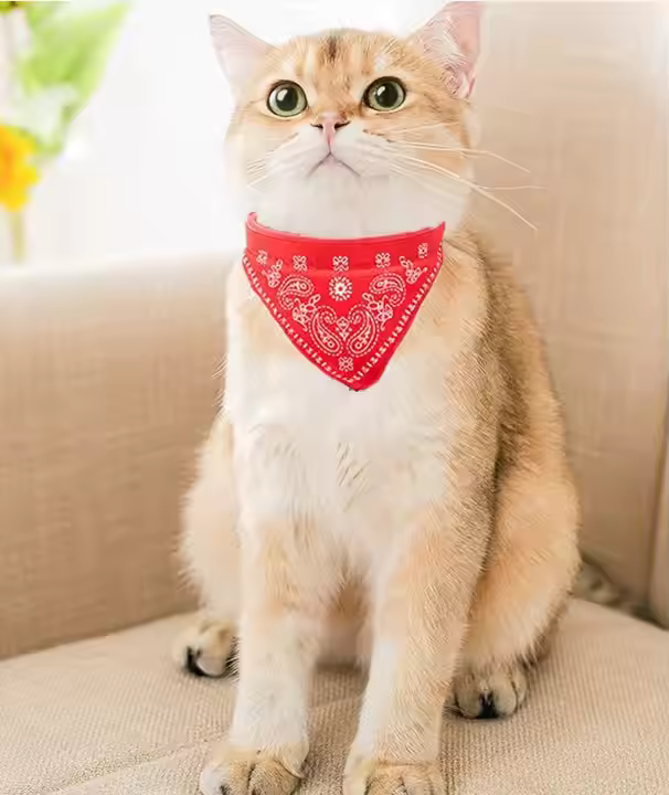 Collar Pañoleta estampado moderno y fácil de usar YY076L - Imagen 4